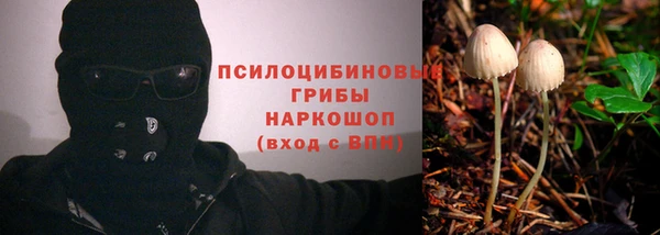 хмурый Киренск