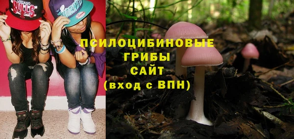 хмурый Киренск