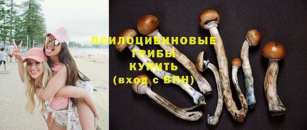 а пвп мука Кинешма