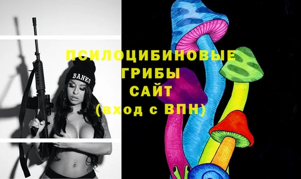 хмурый Киренск